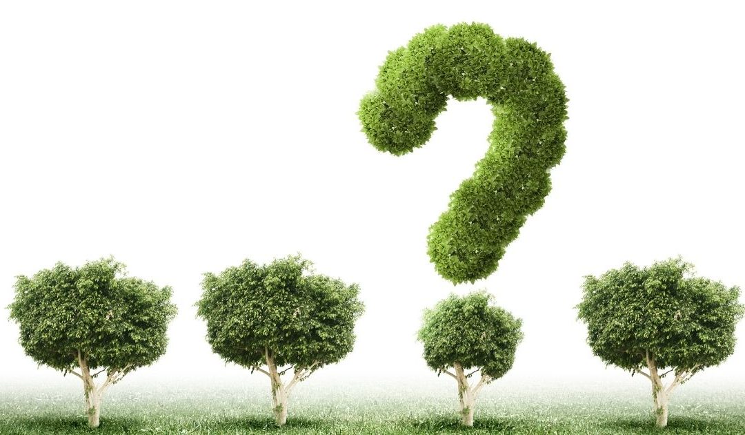 Environmental Services