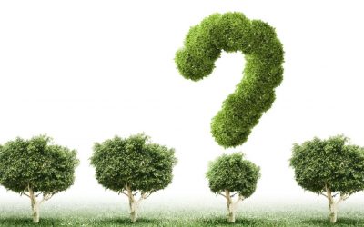 How Does Cybersecurity Impact Environmental Services and Infrastructure?